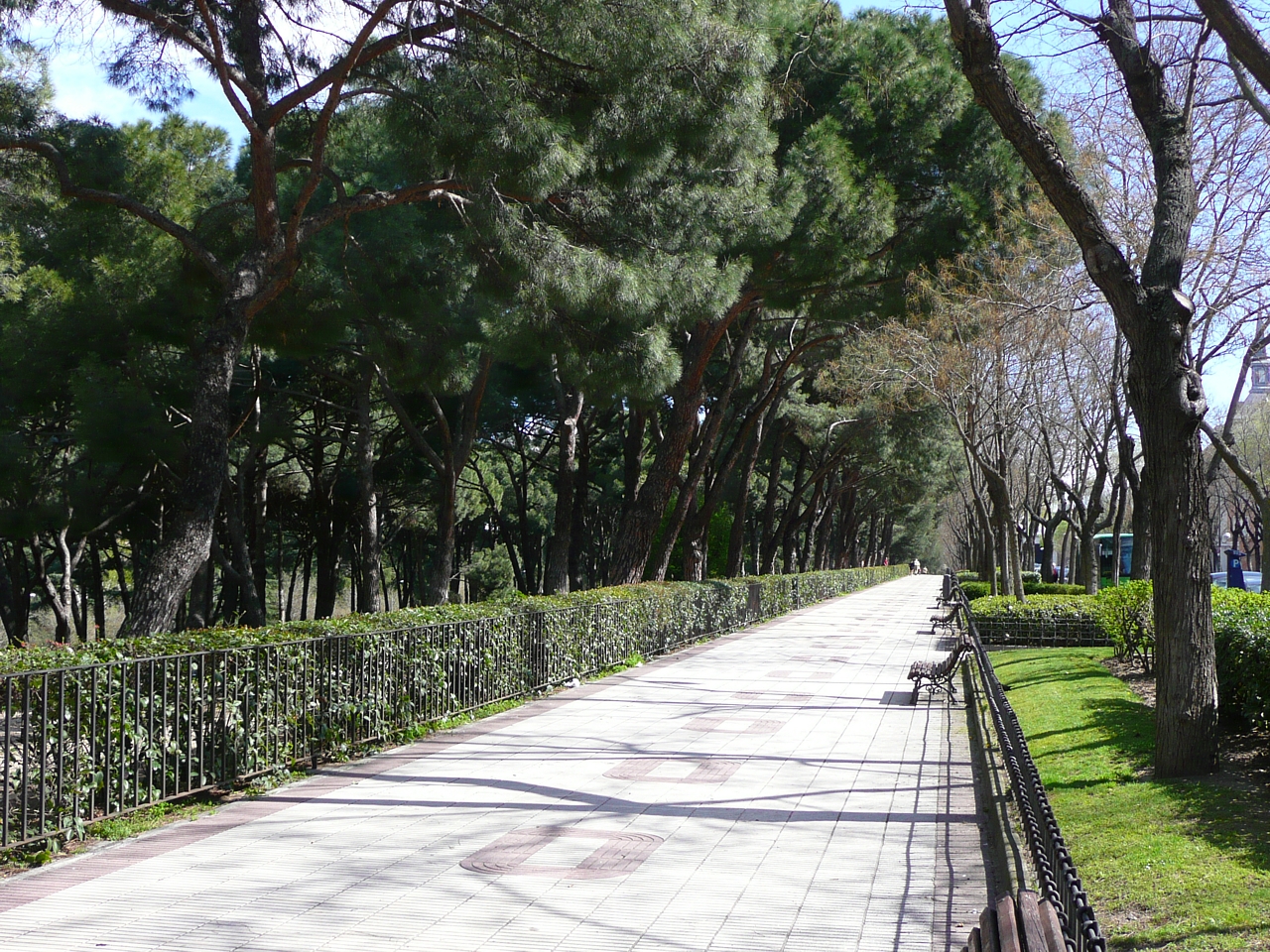 The park-side promenade at Paseo del Pintor Rosales, 2012.