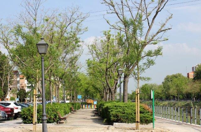 The green edge of Colonia Manzanares, 2018; see the newer works described below.